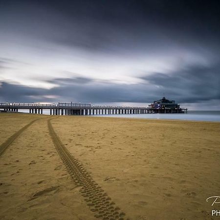 Studio Mare Nostrum Lägenhet Blankenberge Exteriör bild